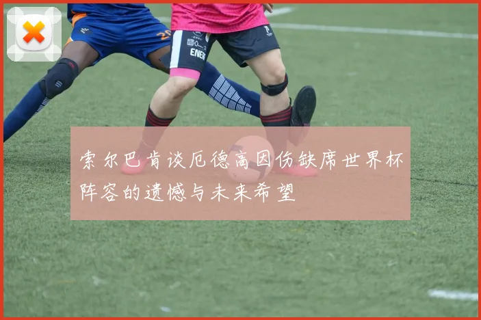索尔巴肯谈厄德高因伤缺席世界杯阵容的遗憾与未来希望