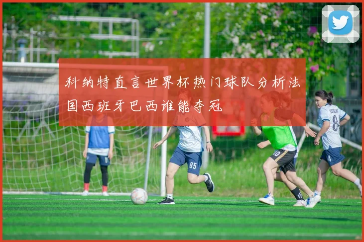 科纳特直言世界杯热门球队分析法国西班牙巴西谁能夺冠