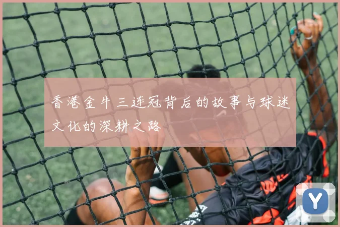 香港金牛三连冠背后的故事与球迷文化的深耕之路