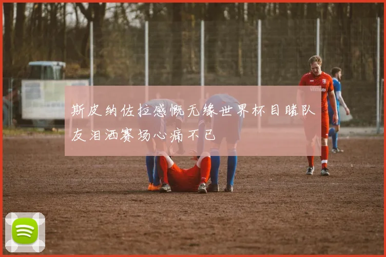 斯皮纳佐拉感慨无缘世界杯目睹队友泪洒赛场心痛不已